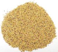 Manufacturers Exporters and Wholesale Suppliers of Rape seeds Ahmedabad Gujarat